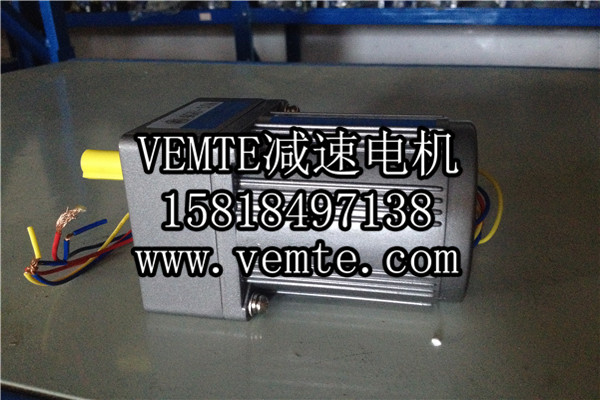 小電機(jī)，小型調(diào)速電機(jī),微型減速電機(jī) (2)